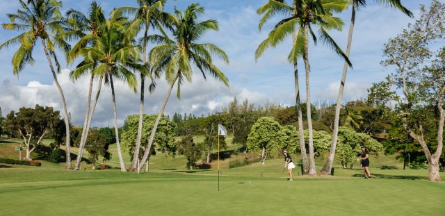 Palm trees on golf course
